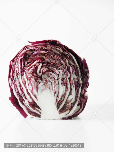 那紫色的普拍
