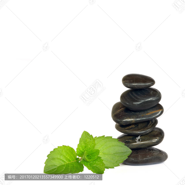 禪療愈元素