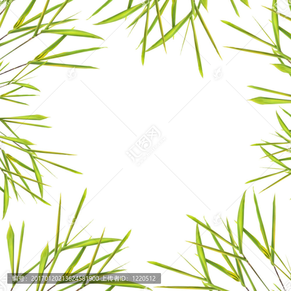 竹葉草緣