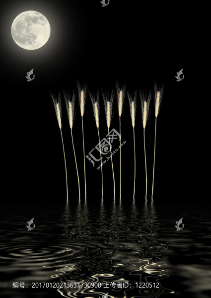 Golden,Moon和草摘要