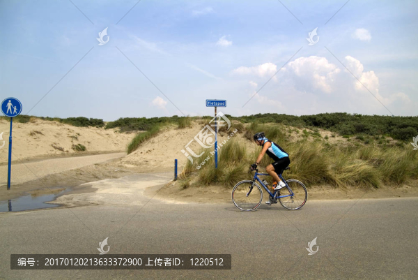 Beeld,voor,X射線Hoek,van,Holland