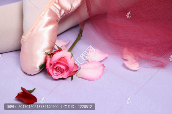 芭蕾鞋
