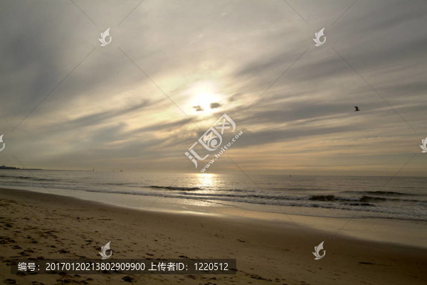 Beeld,voor,X射線Hoek,van,Holland