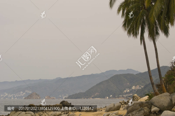 太半洋海岸與棕櫚樹(shù)