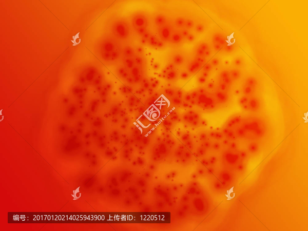 細(xì)菌細(xì)胞生長(zhǎng)說明