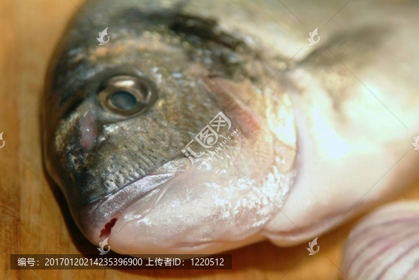鯛魚從希臘烹飪前的準(zhǔn)備