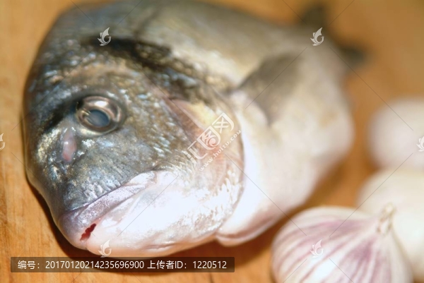 鯛魚(yú)從希臘烹飪前的準(zhǔn)備