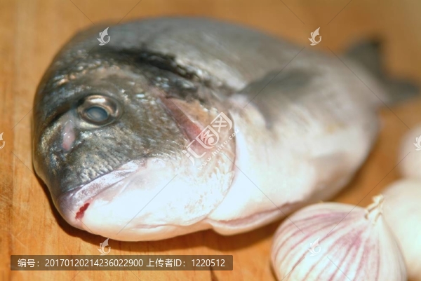 鯛魚從希臘烹飪前的準(zhǔn)備