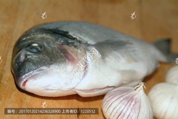 鯛魚從希臘烹飪前的準備