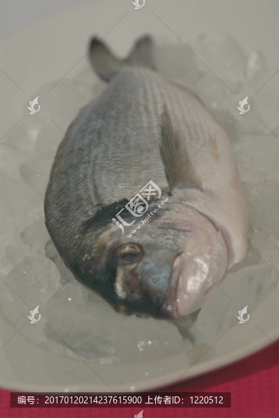 鯛魚從希臘烹飪前的準備