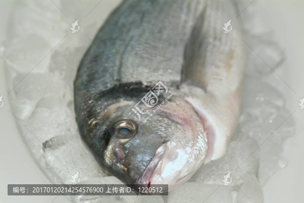 鯛魚從希臘烹飪前的準(zhǔn)備