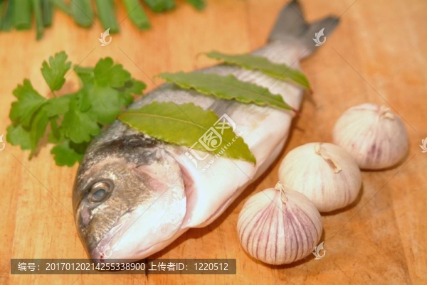 鯛魚從希臘烹飪前的準備