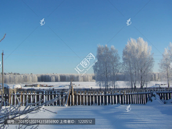 冬季景觀