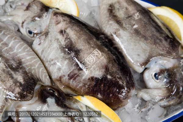 章魚