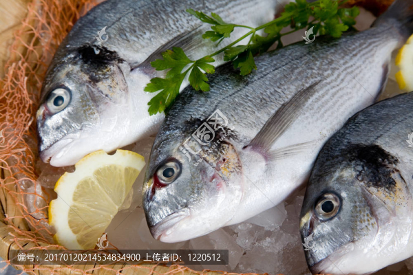 新鮮的魚
