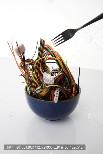 網(wǎng)絡(luò)食品