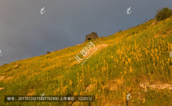 傍晚的太陽(yáng)
