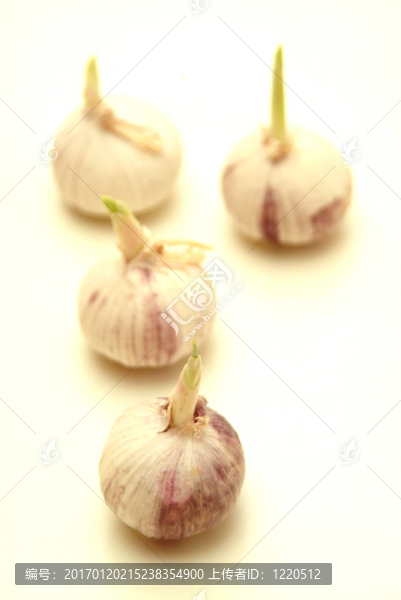 大蒜