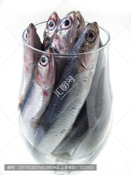 魚