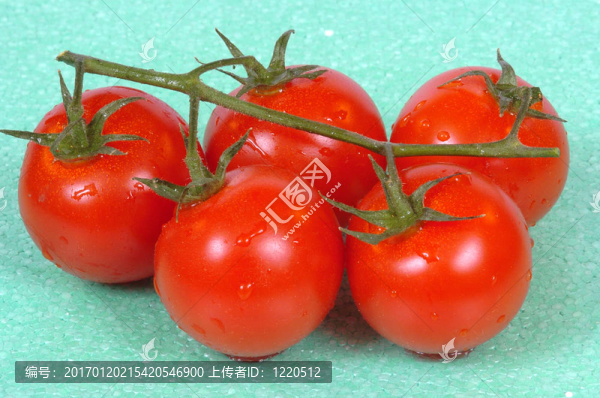 西紅柿
