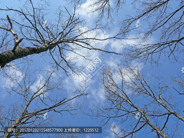 天空