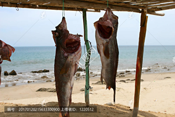 懸魚