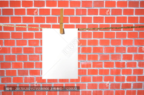 紙