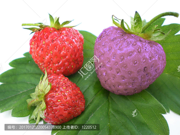 獨特的草莓