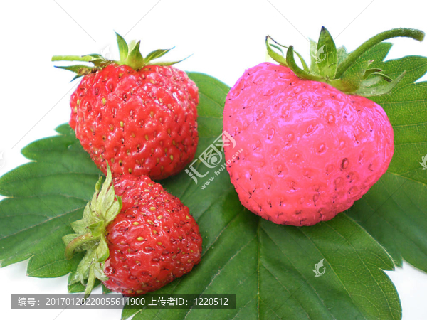 獨特的草莓