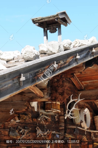 高山030-匯圖網(wǎng) www.fosd68.com 高山030