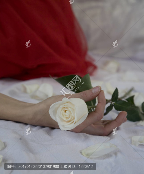 女人與White,Rose的手