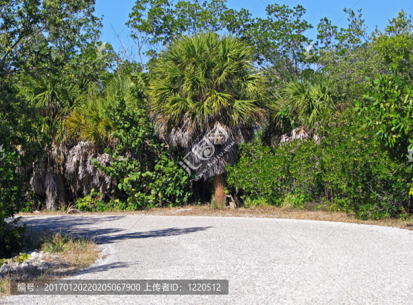 景觀Wildlife,Refuge