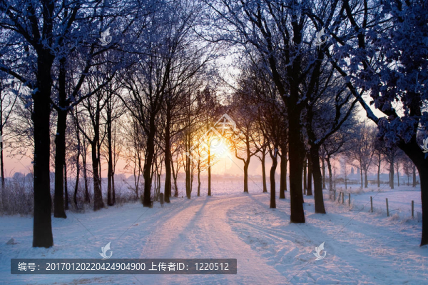 冬天的落日-匯圖網(wǎng) www.fosd68.com 冬天的落日