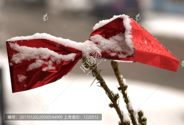 紅紙弓在雪中-匯圖網(wǎng) www.fosd68.com 紅紙弓在雪中