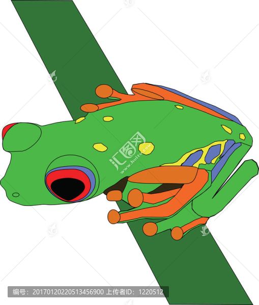 紅眼睛的樹(shù)蛙