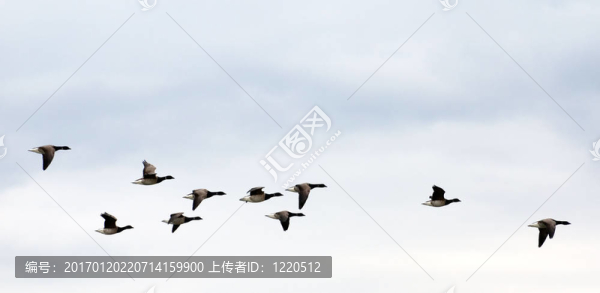 秋天的天空