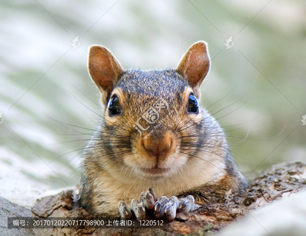 誰(shuí)在那里？