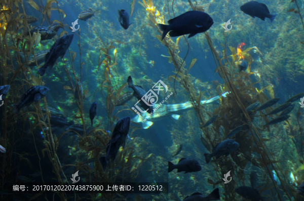海底