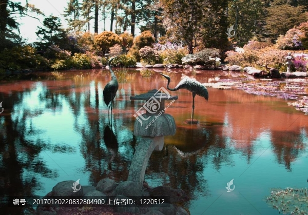 有水百合的雕像和池塘