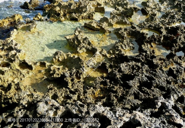 珊瑚海岸-匯圖網(wǎng) www.fosd68.com 珊瑚海岸