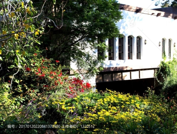 白色覆蓋河圣路易斯-奧比斯波橋；加利福尼亞1424a