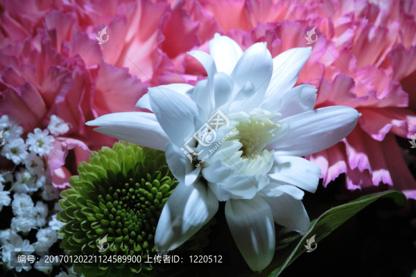 Flowers的背景