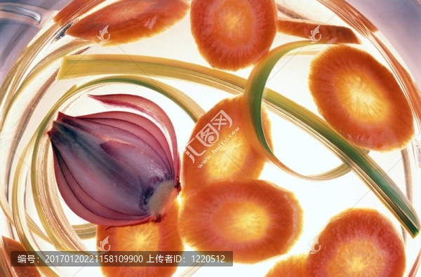 蔬菜水