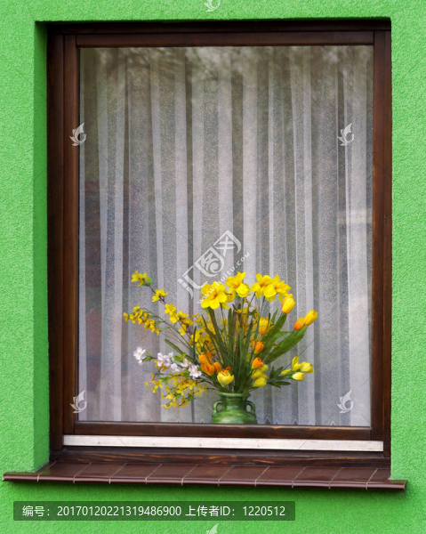 花-匯圖網(wǎng) www.fosd68.com 花