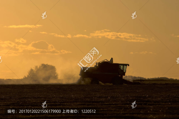 收獲時間在森塞特