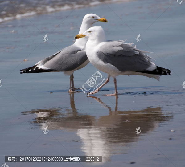 讓舞蹈