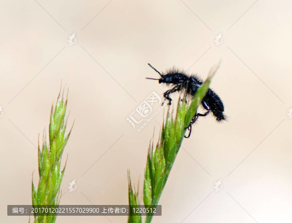 準備飛行的錯誤