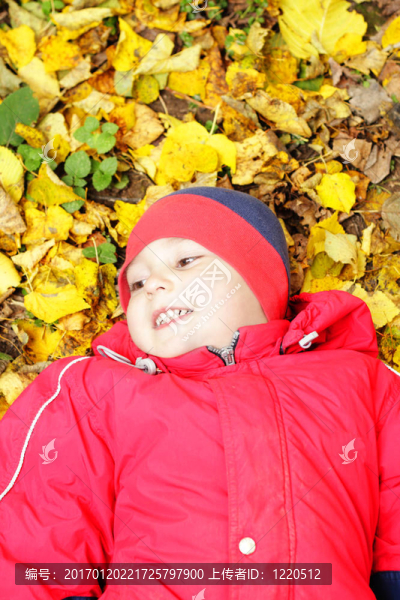秋天背景的男孩