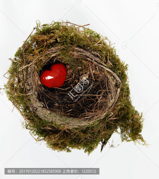 紅心窩-匯圖網(wǎng) www.fosd68.com 紅心窩