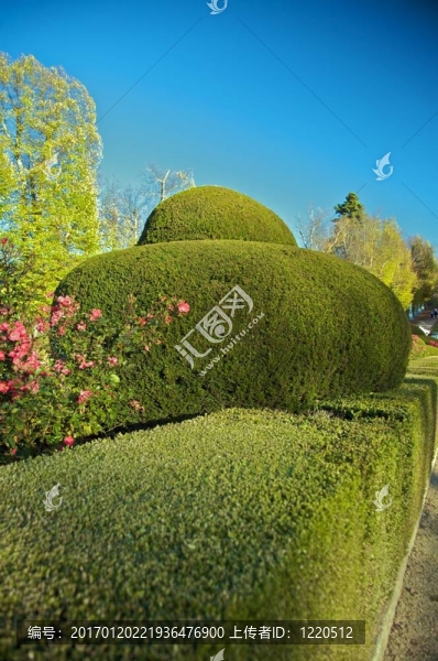 花園的細(xì)節(jié)